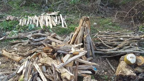 Firewood Stock Photos