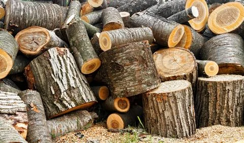 Firewood Stock Photos