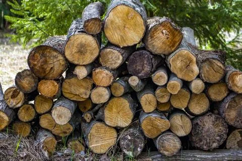 Firewood Stock Photos