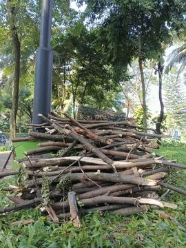 Firewood Foto stock