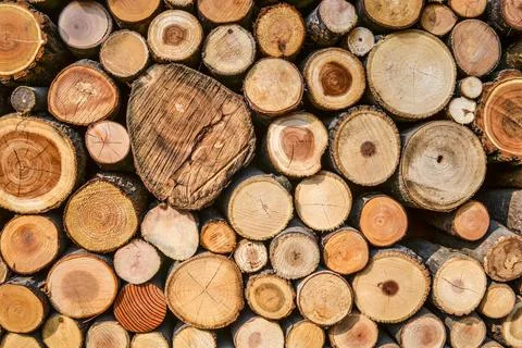 Firewood Foto stock