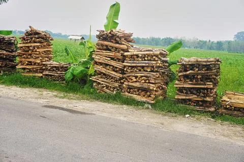 The firewood Stock Photos