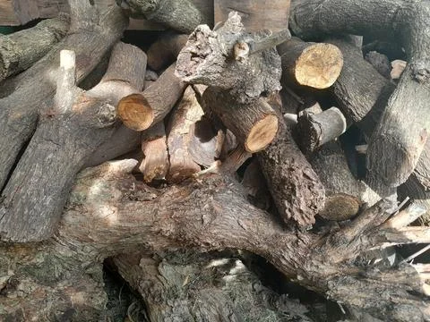 Firewood Stock Photos