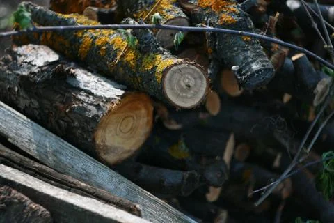 Firewood pile Stock Photos