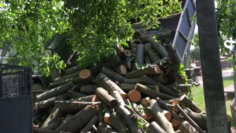 Firewood preparation. Stock Footage 158747376