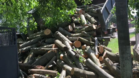 Firewood preparation. Stock Footage 158747401