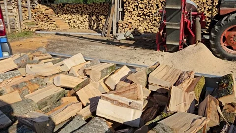 Firewood processing with log splitter machine, timber cutting and wood Stock Footage 334776350
