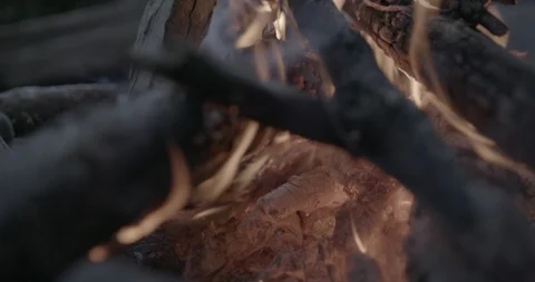Firewood set ablaze in the campfire Video stock 104207796