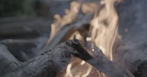 Firewood set ablaze in the campfire Stock Footage 104207799