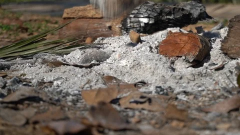 Firewood for setting fire Falling into ashes Stock Footage 123603115