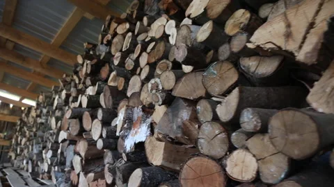 FIREWOOD SHACK 스톡 동영상 186588010