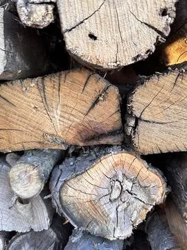 Firewood Stack Close-Up with Tree Rings Stock Photos