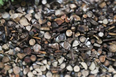 Firewood stack outdoor Photos