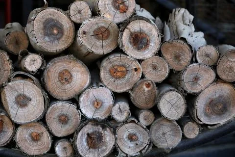 Firewood stack Photos