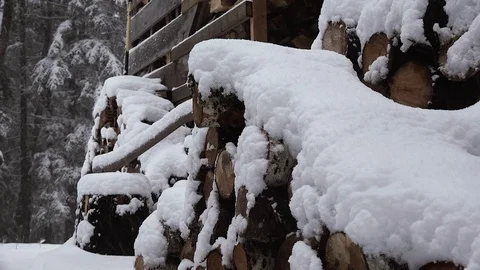 Firewood Stack in Snowstorm Stock Footage 69773118