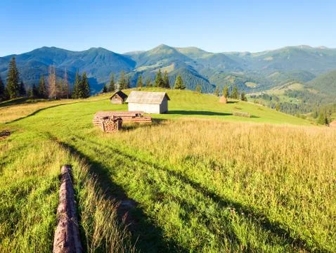 Firewood stack on summer mountains 스톡 사진