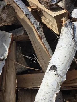 Firewood stack with white birch logs Stock-Fotos
