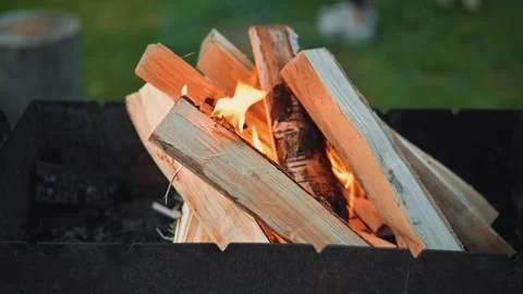 Firewood is stacked in a fire pit with flames rising from the dry logs. The Stock Footage 345874362