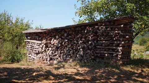 Firewood stacked in a meadow Stock Footage 115704739