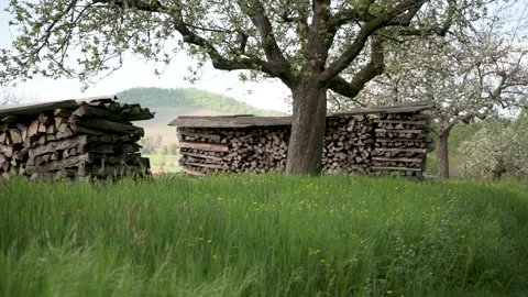 Firewood stacked in a meadow Stock Footage 130367851