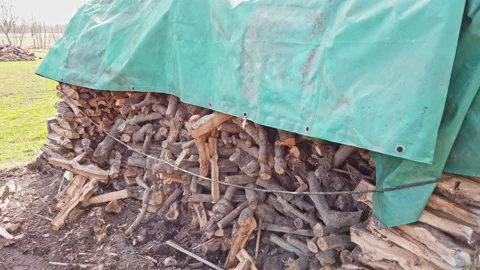 Firewood storage Stock Footage 153315875
