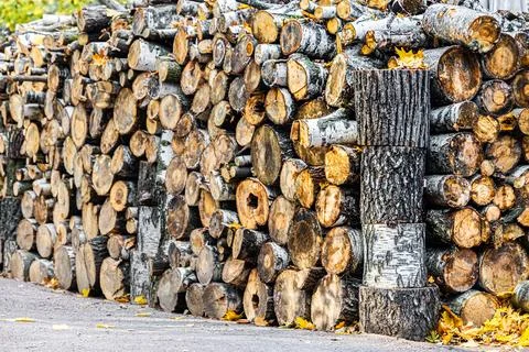 Firewood storage in the yard, close-up Stock Photos