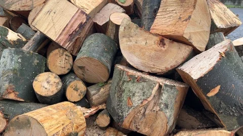 Firewood as strategic winter resource for heating Stock Footage 334527051