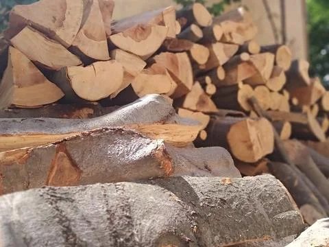 Firewood in the Sun Stock Photos