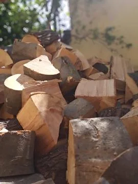 Firewood in the Sun Stock Photos