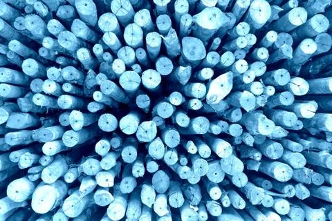 Firewood Texture Background in Blue Filter. Stock-Fotos