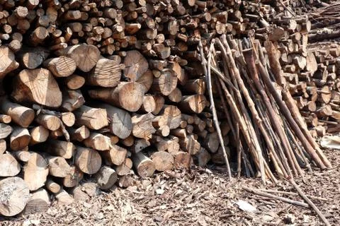 Firewood Texture Background. Stock Photos