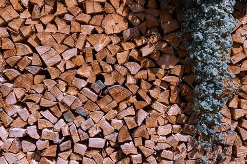 Firewood Texture Close-up Stock Photos
