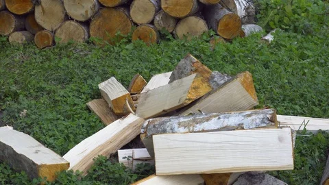Firewood - Throwing logs into a pile. Video stock 115552139