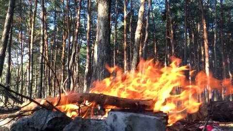 Firewood is thrown into the fire close-up. Fire close-up. Log fire close-up Stock Footage 200823687