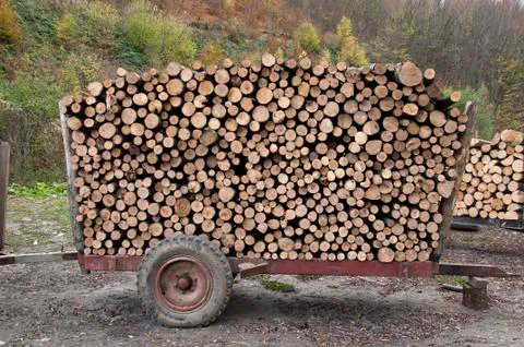 Firewood on a trailer Stock Photos