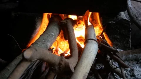 Firewood is used for cooking using a traditional stove. firewood fire Stock Footage 301490789