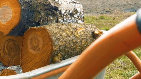Firewood in a wheelbarrow. Close-up. Background. Stock Footage 126923648