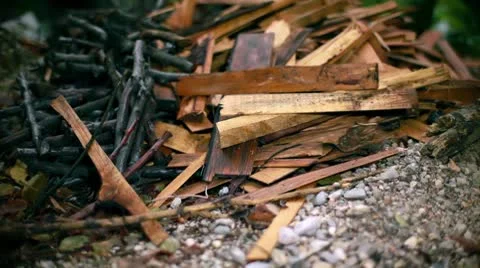 Firewood In The Woods Video stock 8977581