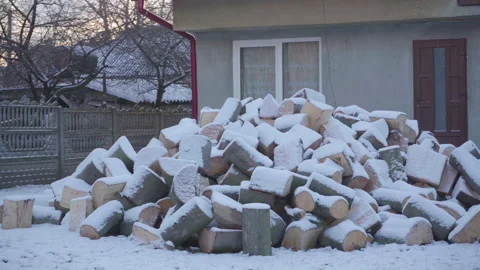 Firewood in the yard Video stock 240028177