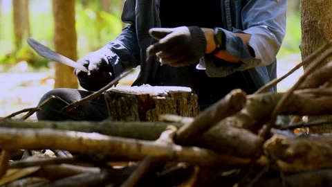 Firewood1 Video stock 301776900