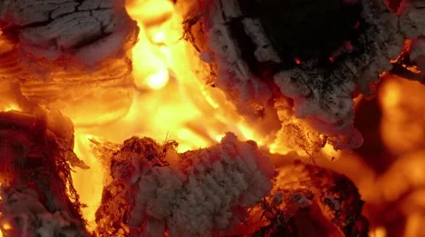 Firewoods burn in the fire Stock Footage 68809109