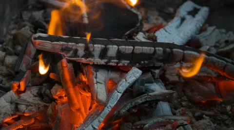 Firewoods burns in the fire Stock Footage 40493920