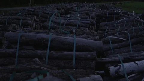 Firewoods in the evening Stock Footage