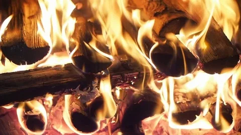Firewoods Stock Footage 76290049