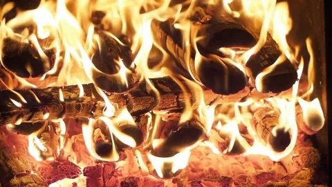 Firewoods Stock Footage 76290319
