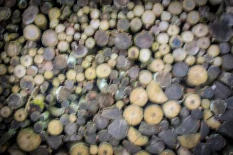 Firewoods stack blurry background Stock Photos