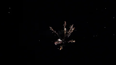 Firework 1 Stock Footage 101161624