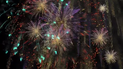 Firework 1 Stock Footage 329479333