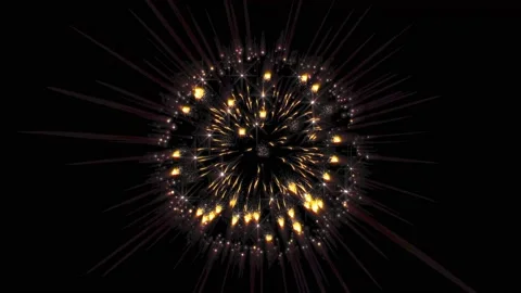 Firework 104 Stock Footage 219802293