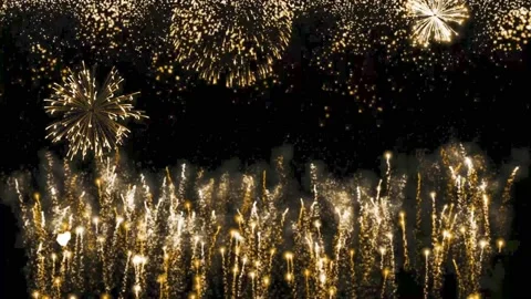 Firework 124 Stock Footage 219802312